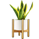 Load image into Gallery viewer, ULG479-12 Gold Plant Stand P1-us

