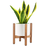 Load image into Gallery viewer, ULG480-12 Red Plant Stand P1-us
